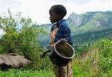 Nutritional Surveillance - Malawi